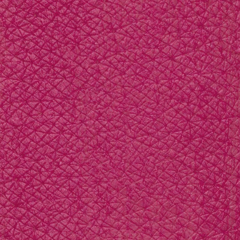 PASTELLO LABBRA Sfilata Biomatita labbra color amaranto vivace dal finish opaco.