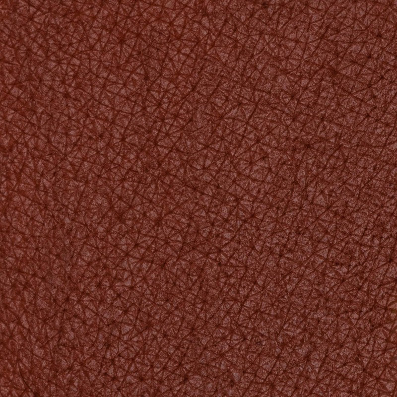 PASTELLO LABBRA Cambridge Caramello rosato medio dal sottotono nocciola scuro.