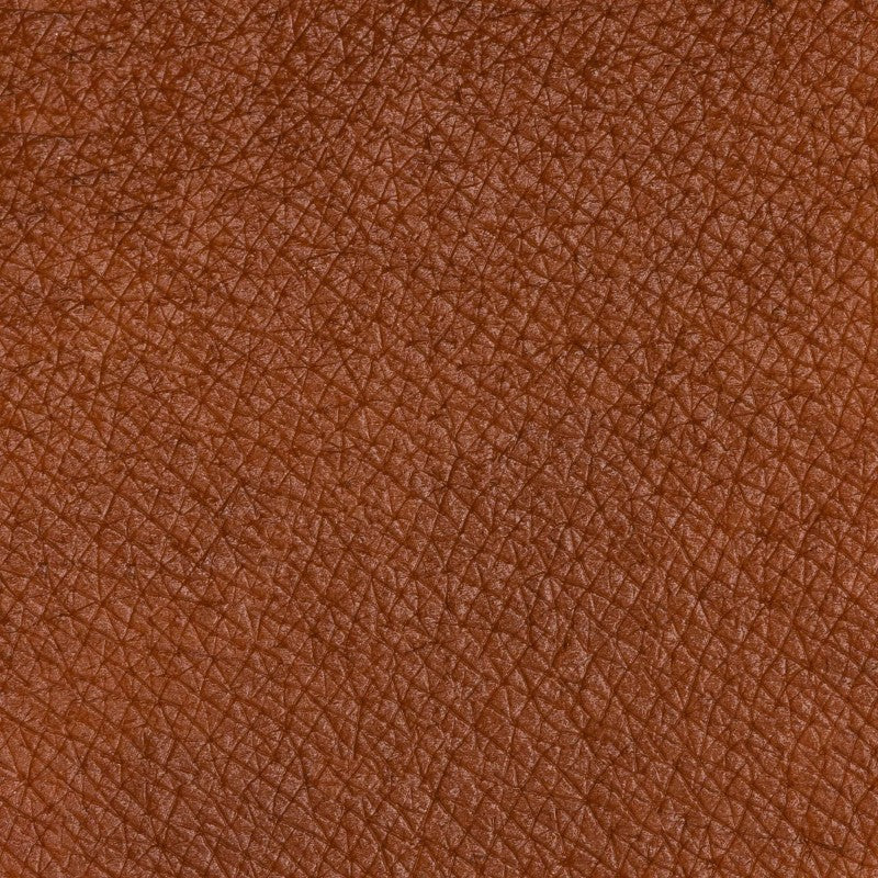 PASTELLO OCCHI Quokka Biomatita occhi color marrone nocciola caldo.
