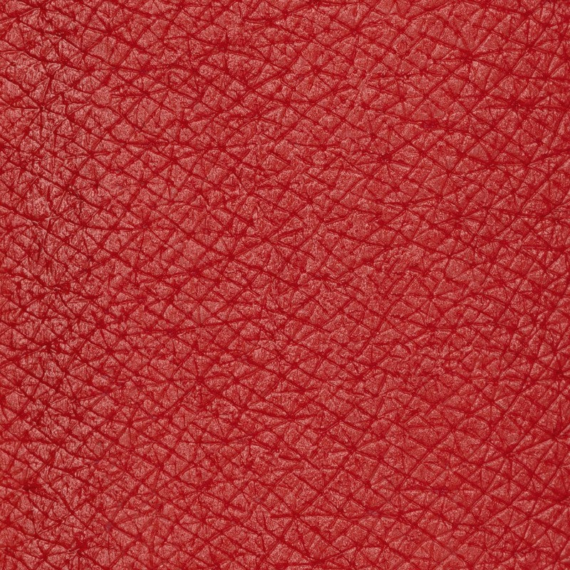 PASTELLO LABBRA Flashback Rosso vintage desaturato.