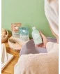 Shampoo in polvere Tea Tree e Prebiotici di Cicoria