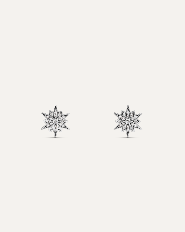 Orecchini a lobo Francesca Stella alpina con pietra centrale punto luce.