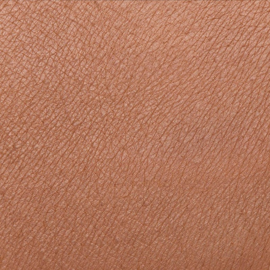 GLI ARCOBALENI  Noisette