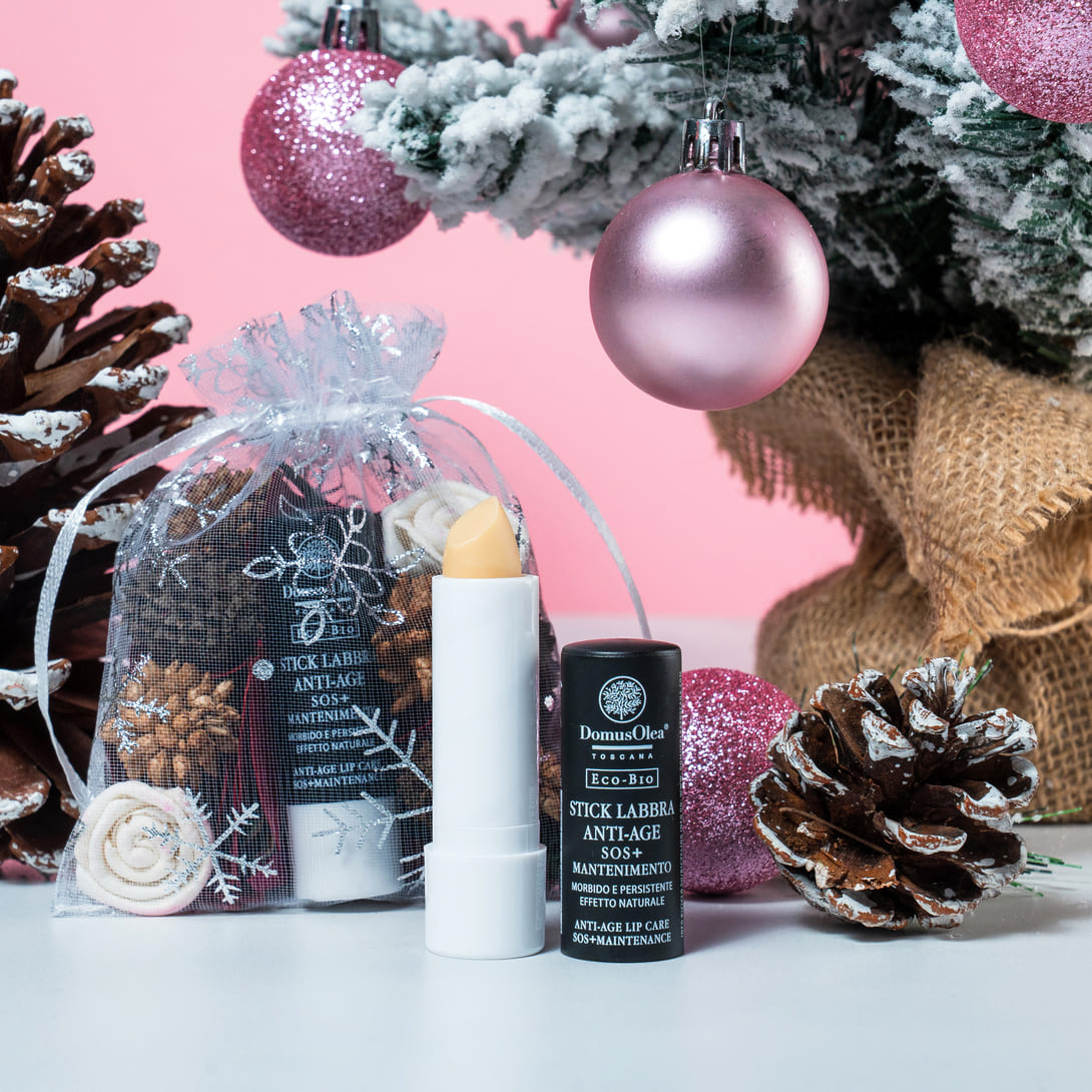 SET NATURAL LIPSTICK