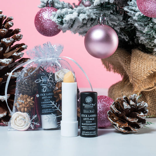 SET NATURAL LIPSTICK