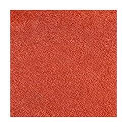 Pastello labbra Focus Marrone paprika intenso.