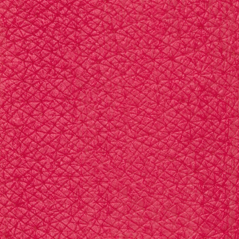 PASTELLO LABBRA  Fenicottero Biomatita labbra color fucsia lampone acceso dal finish opaco