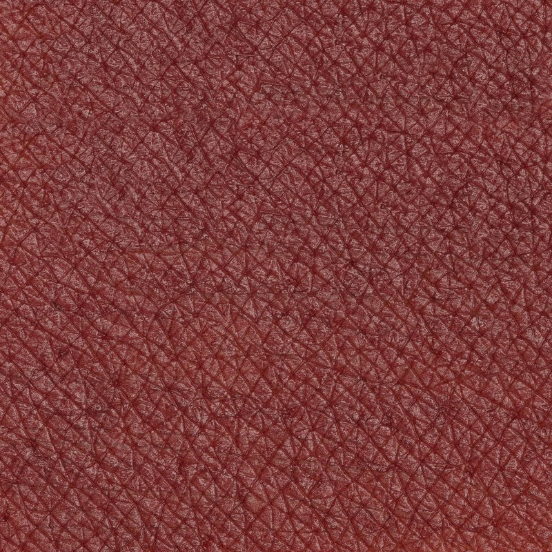 PASTELLO LABBRA  Immortal Nude nocciola scuro universale.